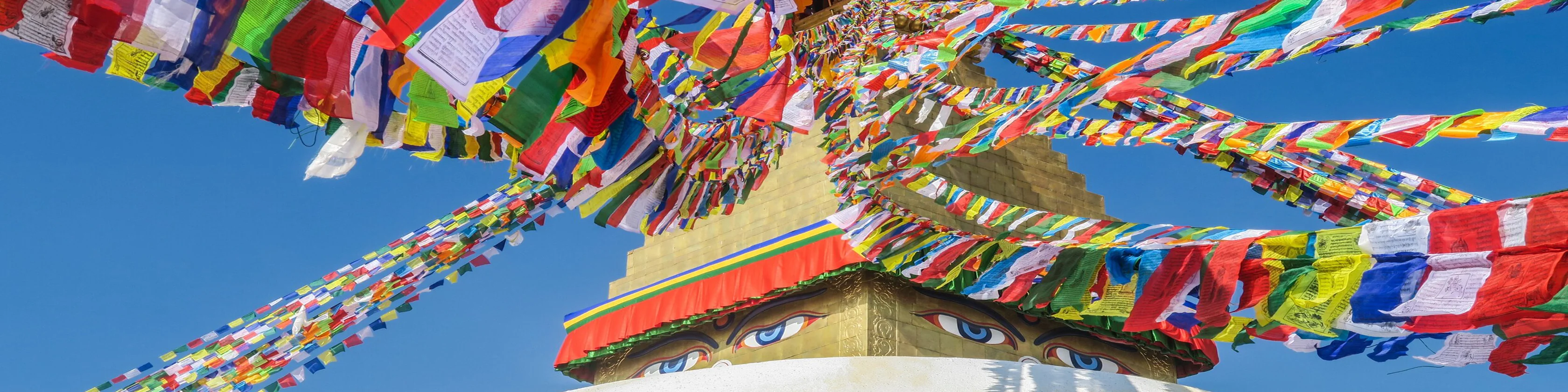 Find Your Himalayan Zen